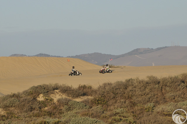 Oceano Dunes State Vehicular Recreation Area